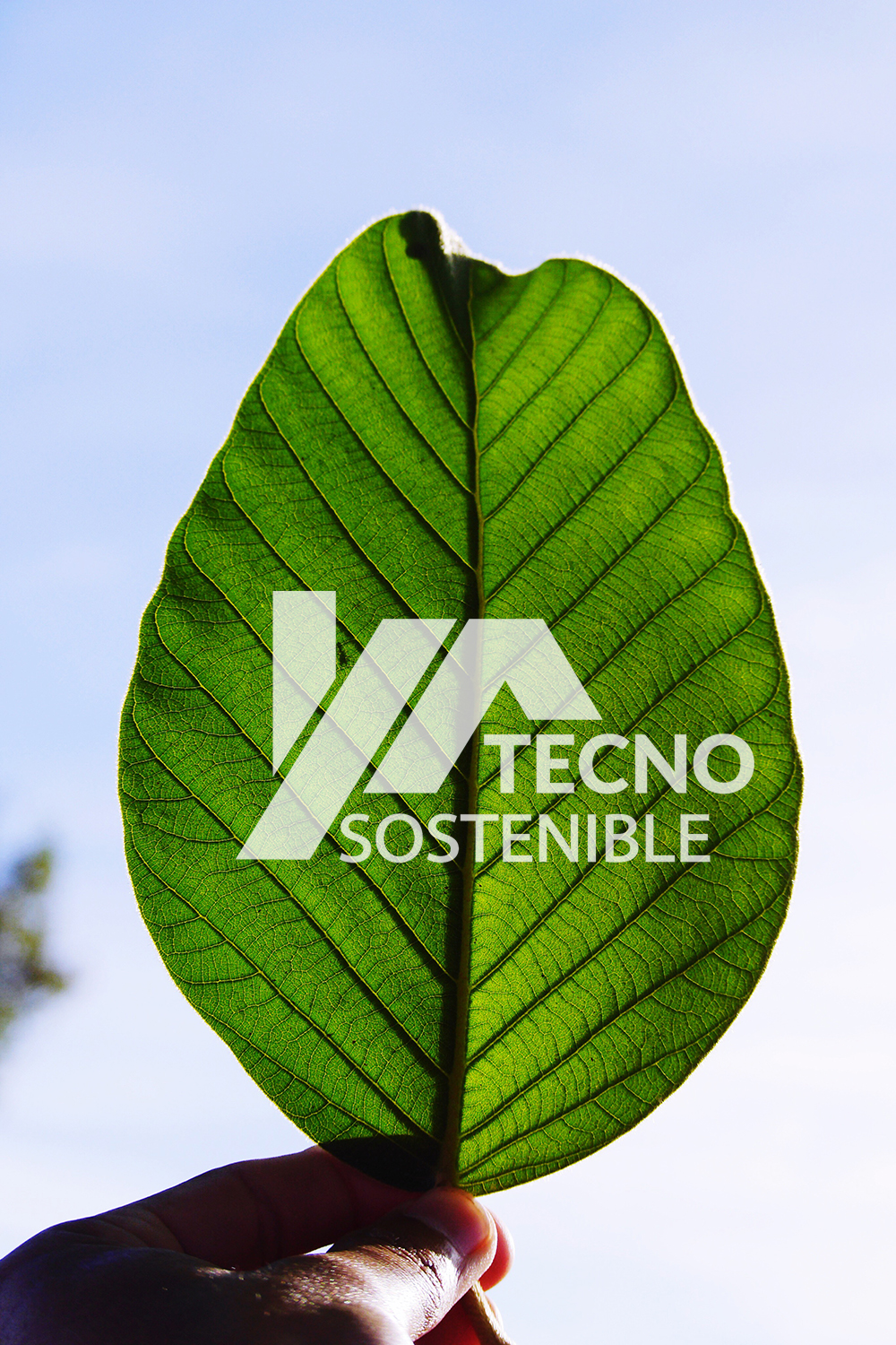 Tecno Hoja Tecno Hoja